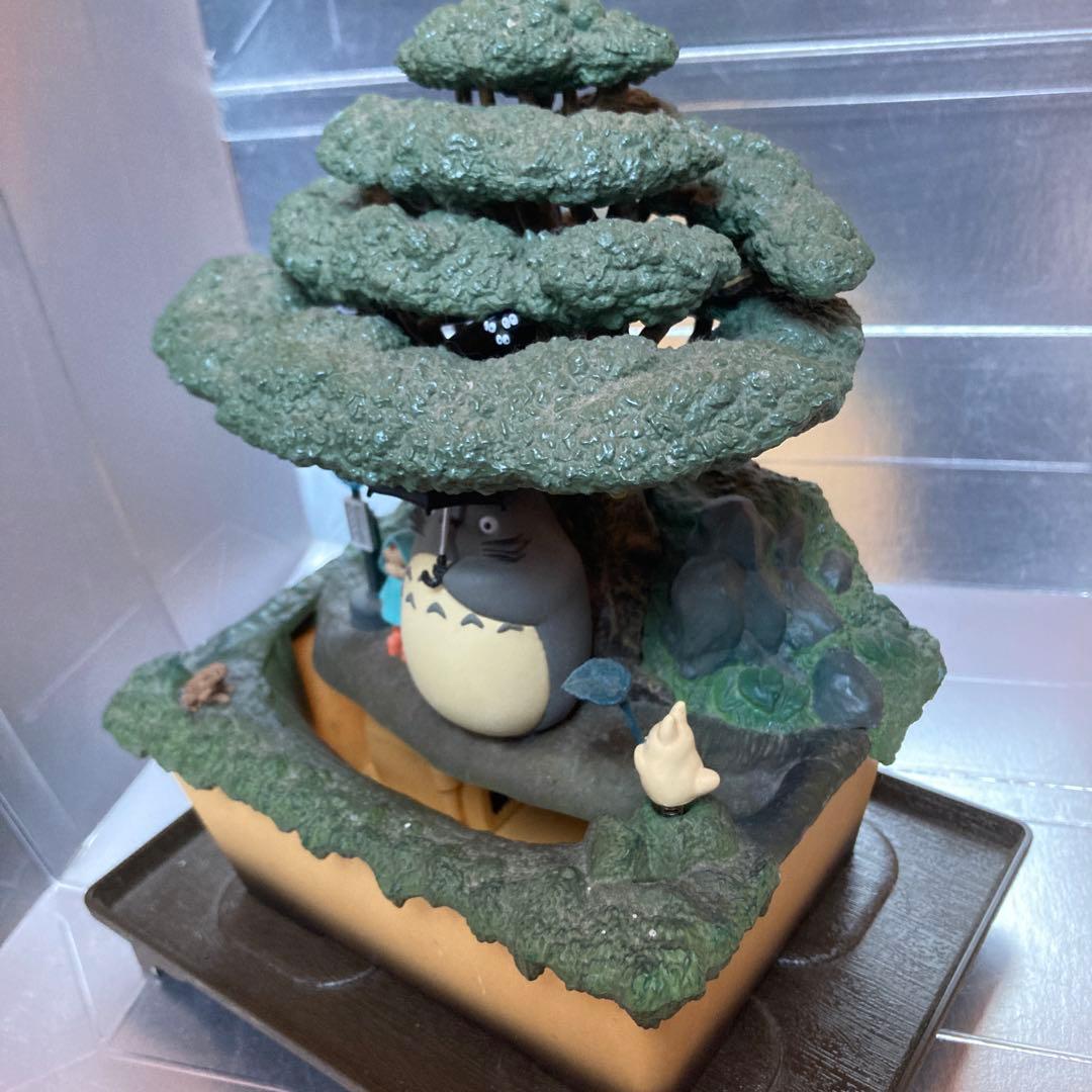 となりのトトロ　ウォーターガーデン　BONSAI