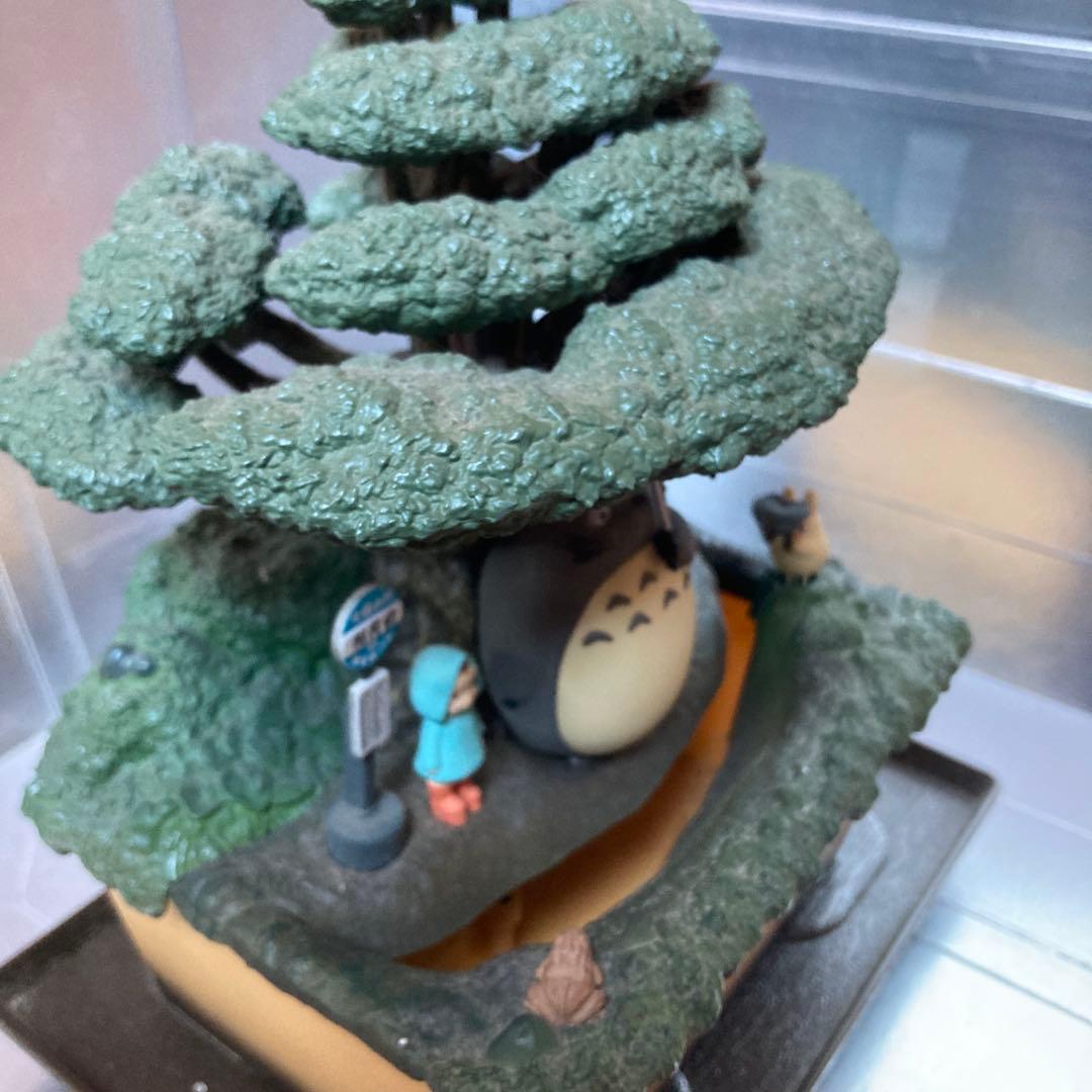 となりのトトロ　ウォーターガーデン　BONSAI