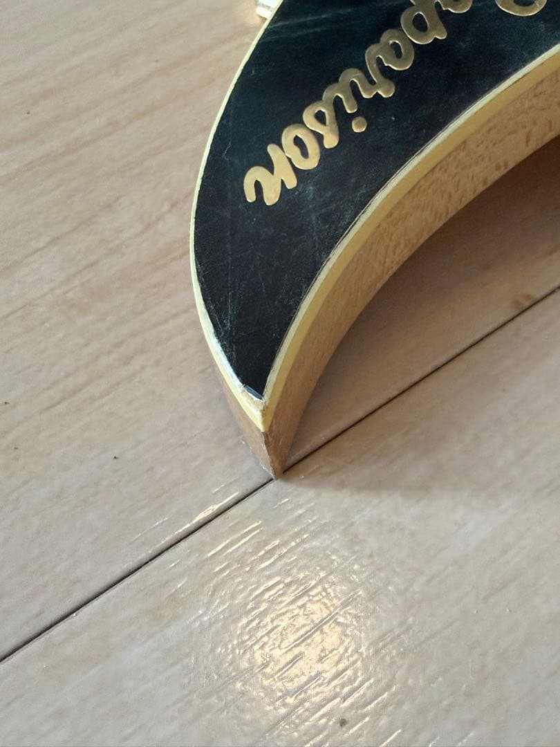 Caparison Venus／Gacktモデル／レア／廃盤／限定100本