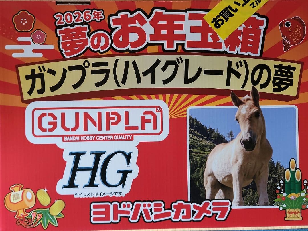 ヨドバシカメラ ガンプラ ハイグレードの夢