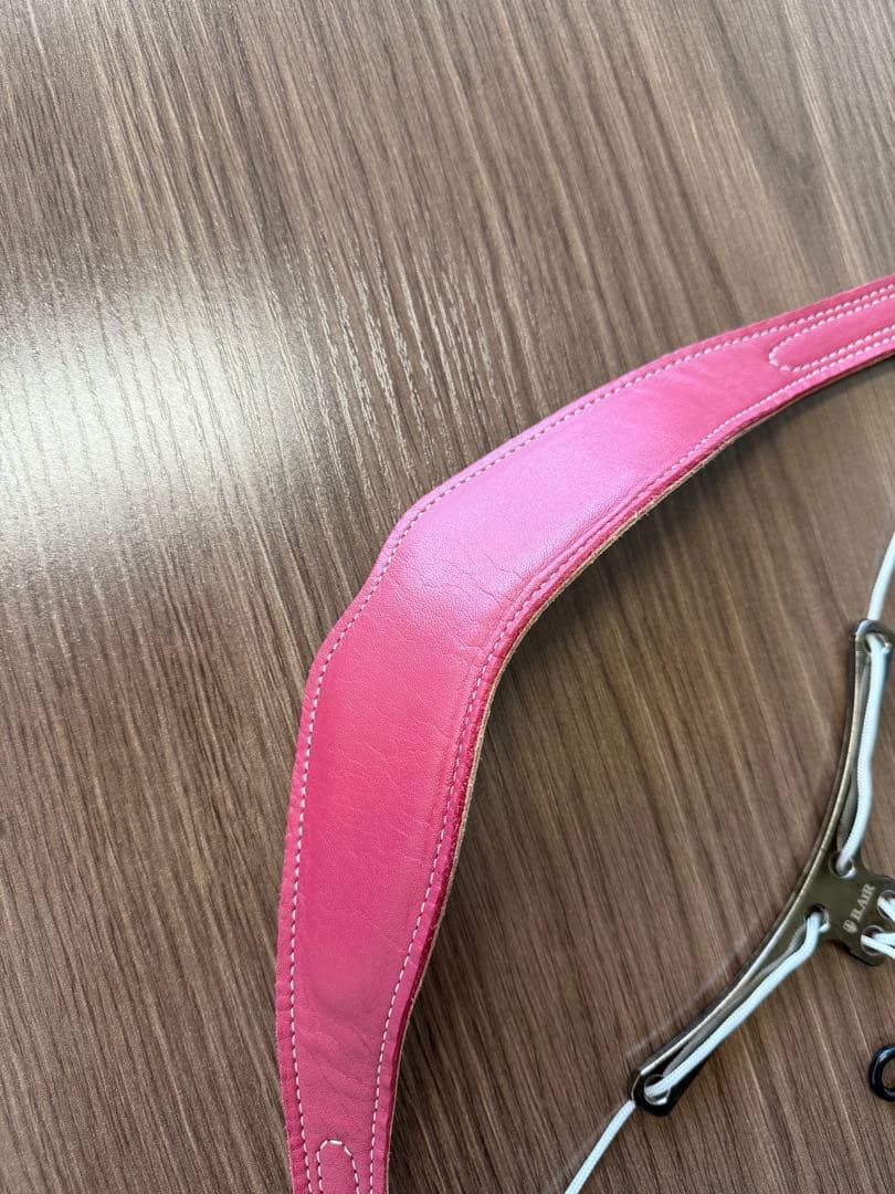 サックスストラップ バード