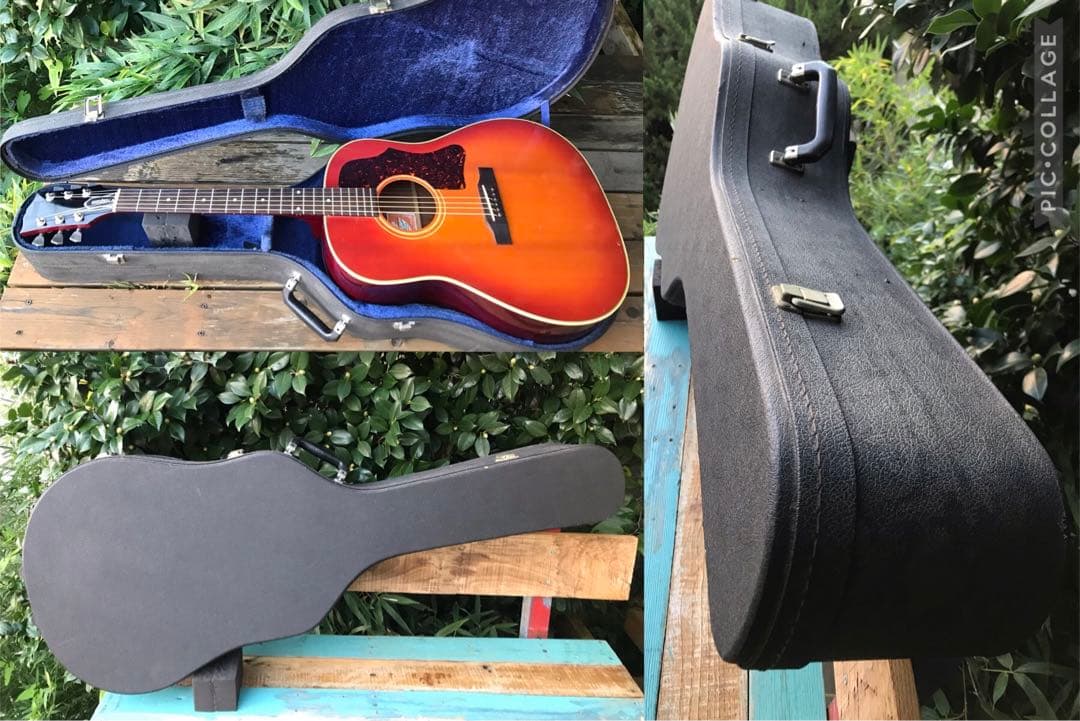 Bunny BJ-60 バーニー フェルナンデス