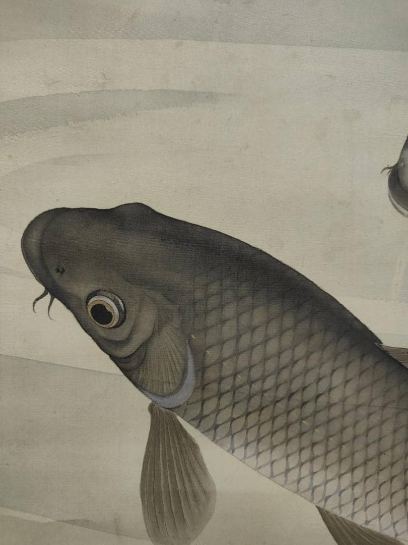 真作/西村圭文/遊鯉図/双鯉図/布袋屋掛軸A-707