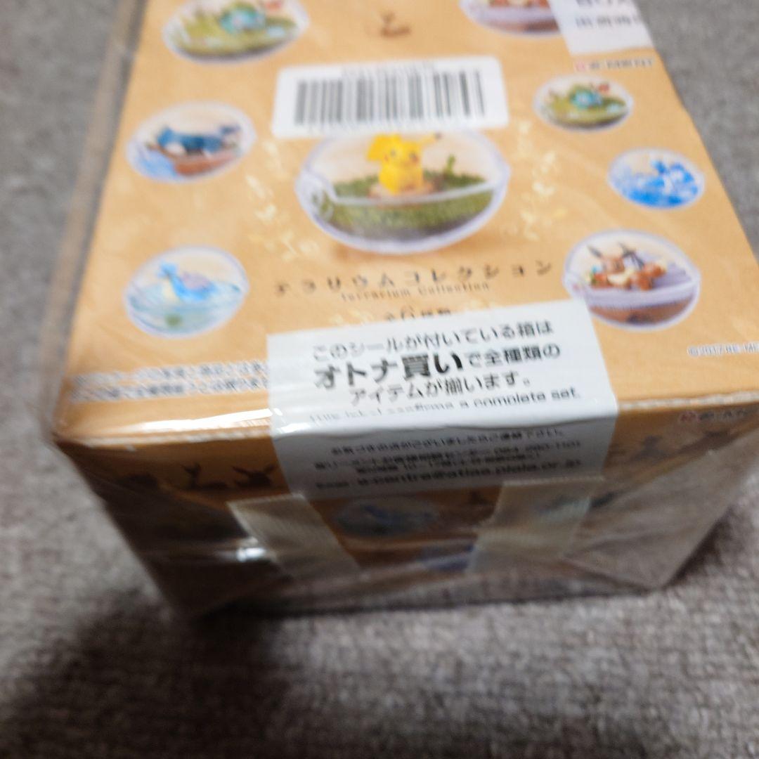 テラリウムコレクション　ポケモン　未開封　2017