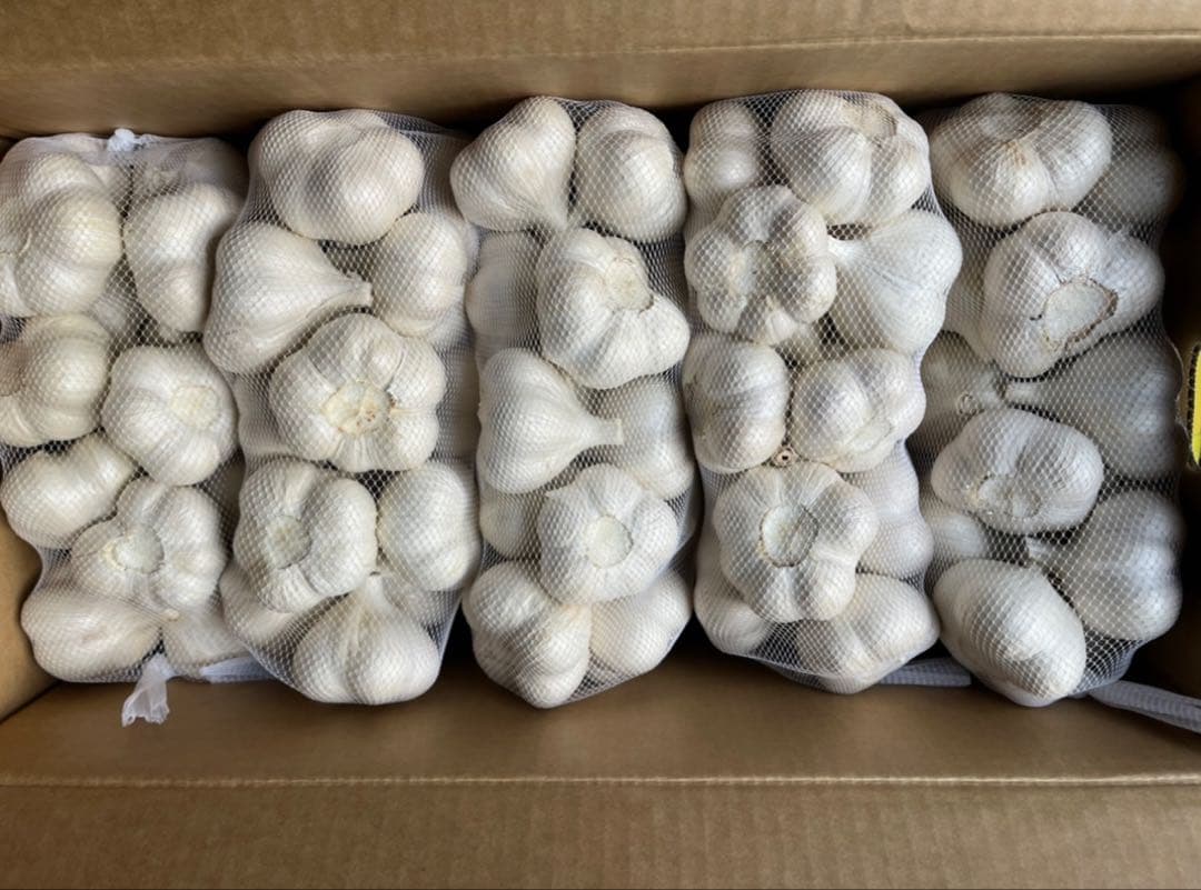 青森産　にんにく　A品Lサイズ　 10キロ　JA全農あおもり　送料無料