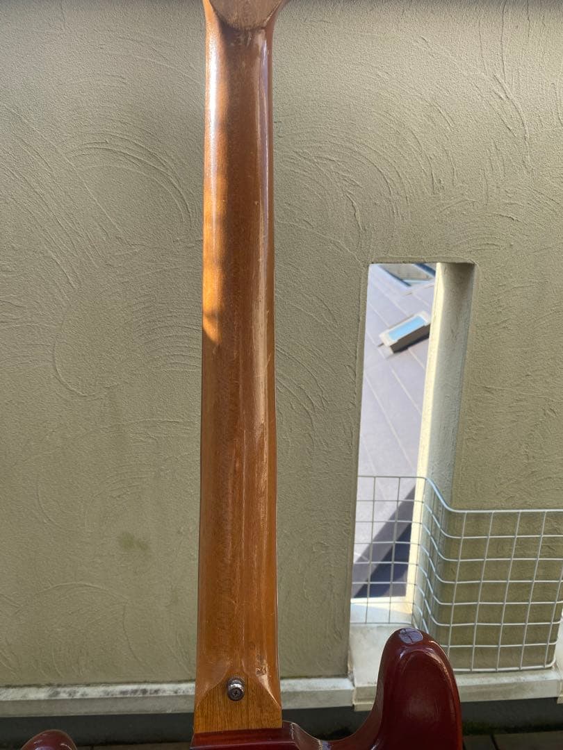 VISION ソリッドベース(ビザールギター)