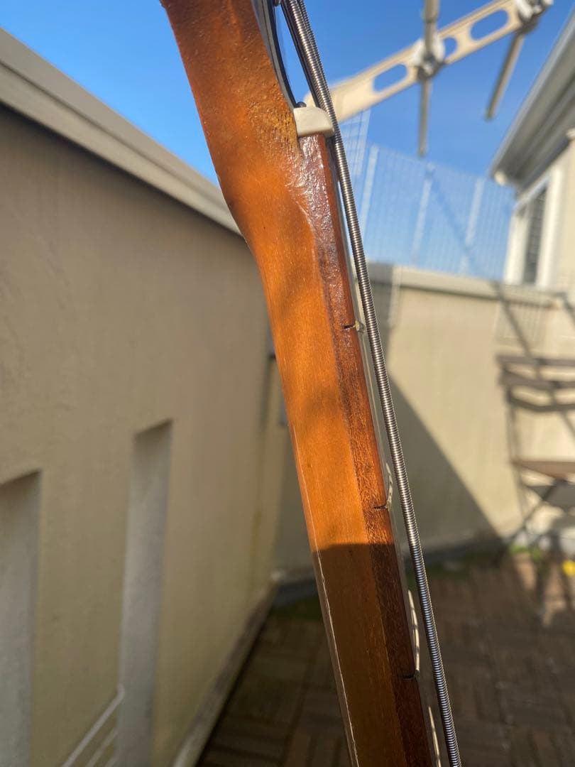 VISION ソリッドベース(ビザールギター)