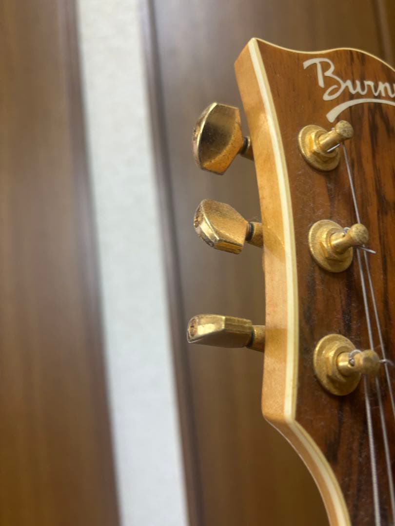 【超貴重】BURNY MG-165S LD フェルナンデス HIDEモデル