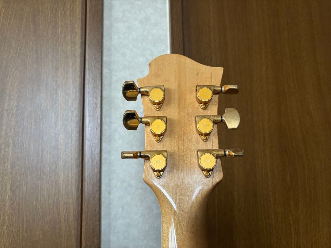 【超貴重】BURNY MG-165S LD フェルナンデス HIDEモデル