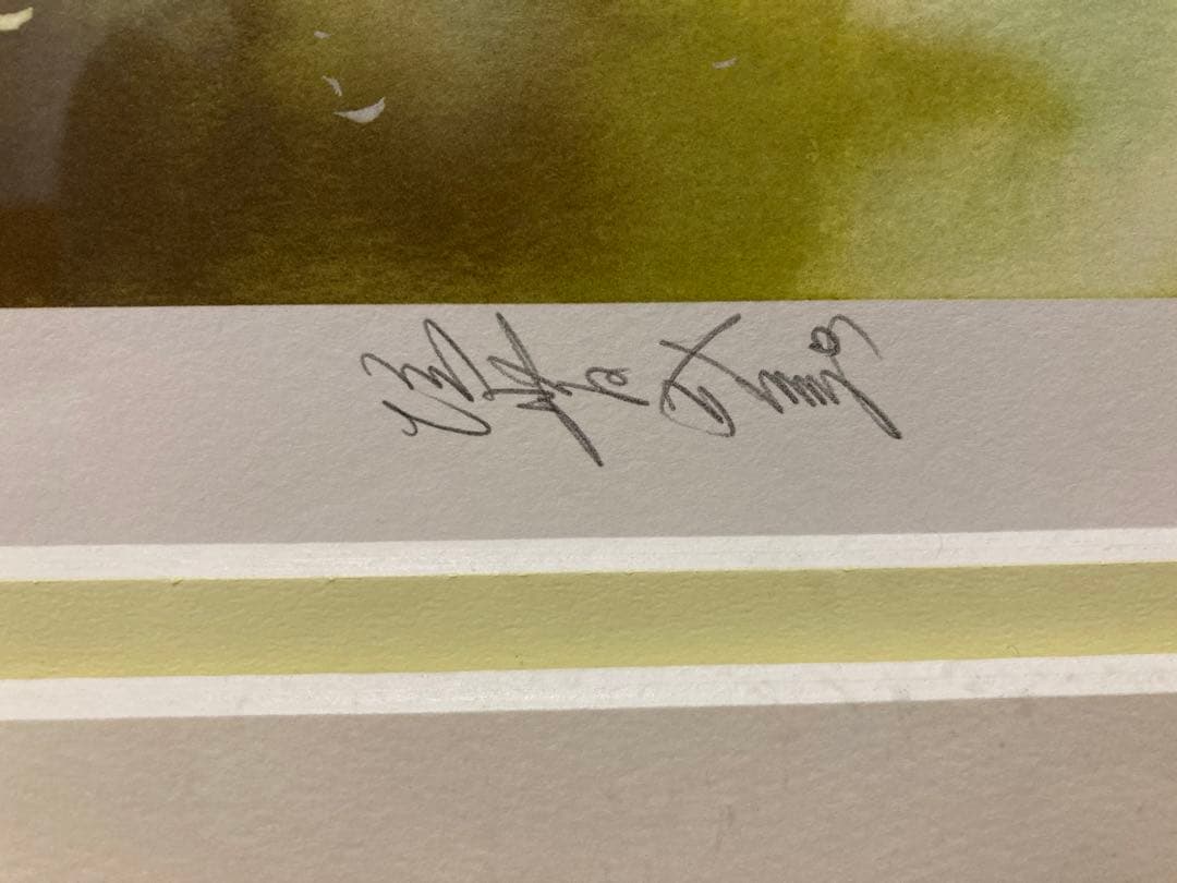 垣野内成美 リトグラフ 遙風 吸血姫美夕 直筆サイン 限定150枚