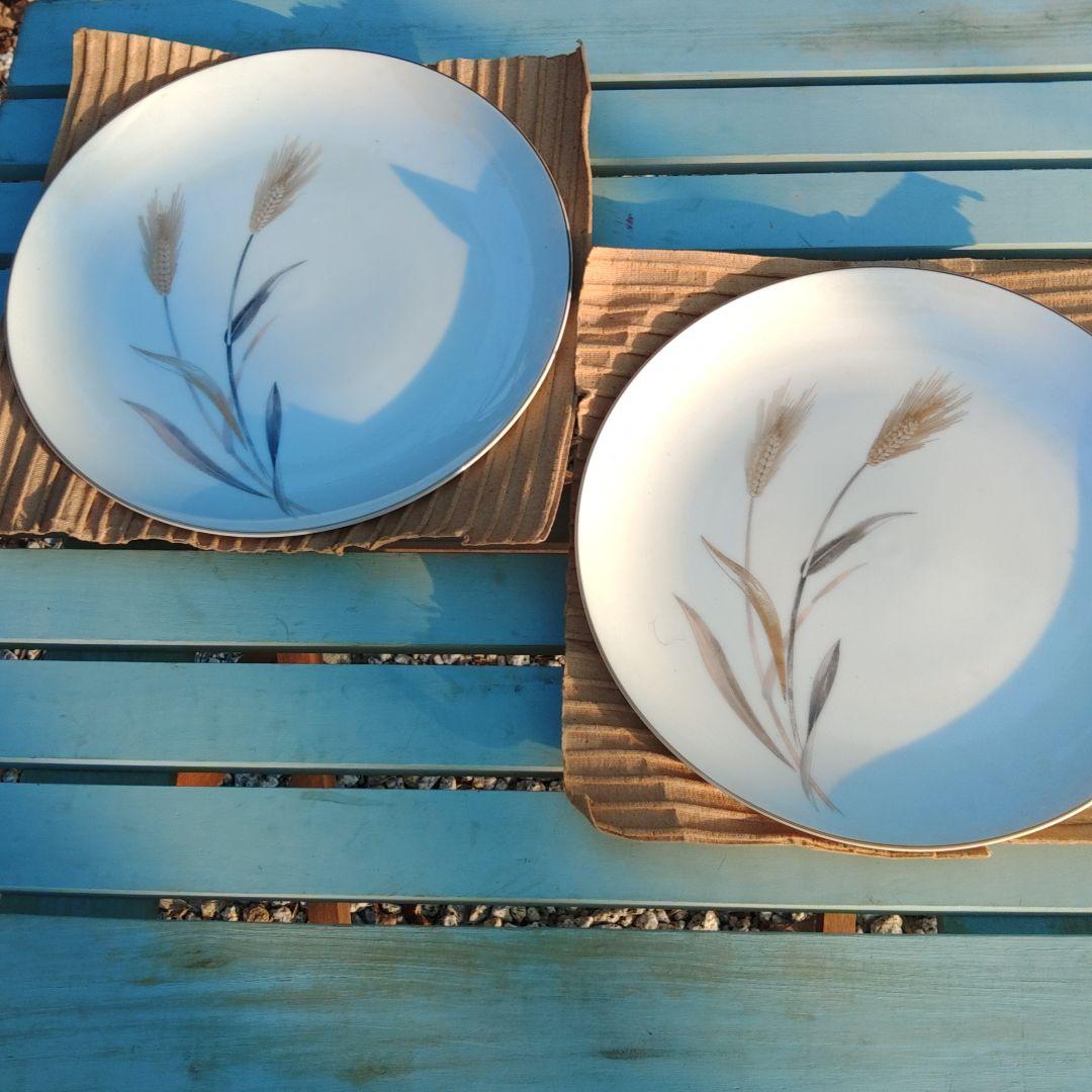 三郷チャイナ陶磁器皿(10枚)　食器