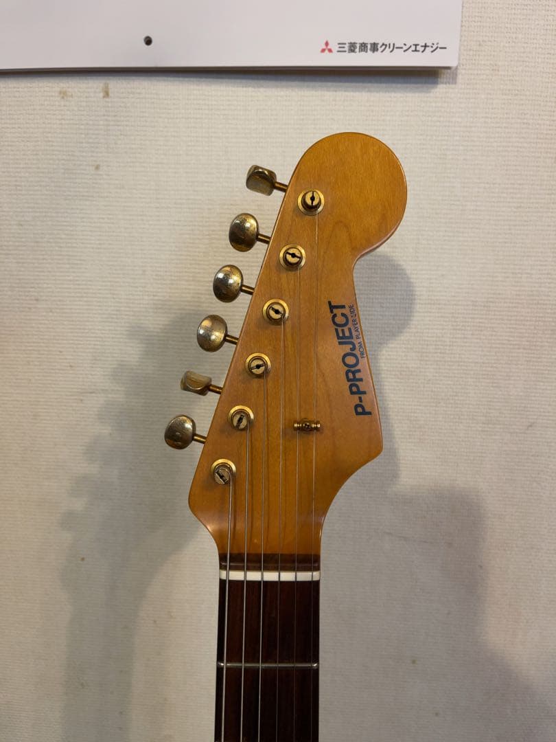 P-Project PST-1V ★VANZANDTピックアップ