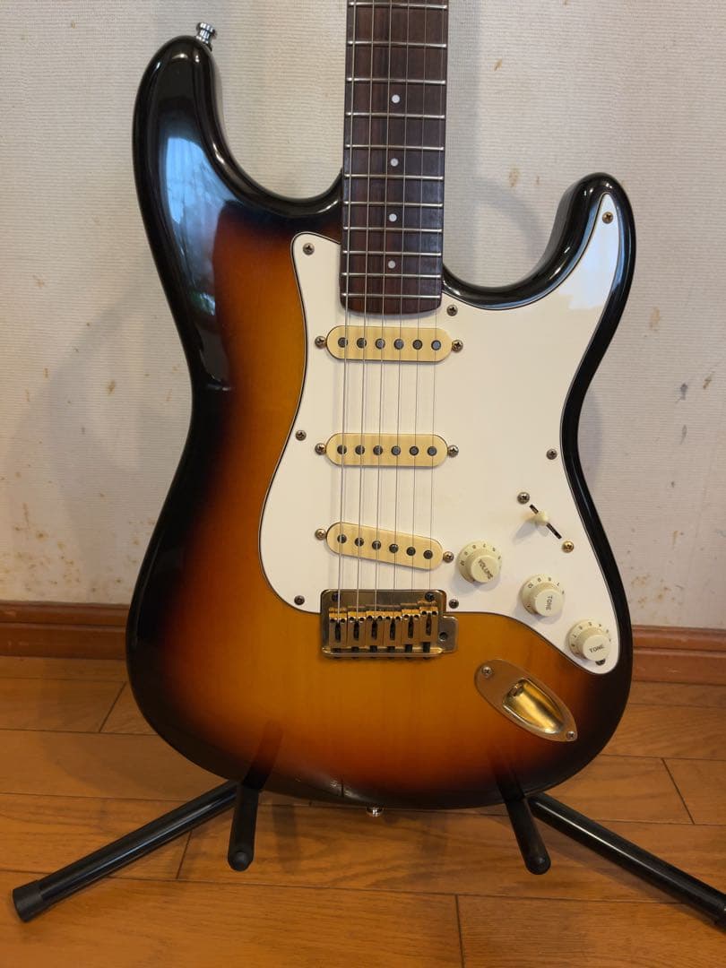 P-Project PST-1V ★VANZANDTピックアップ