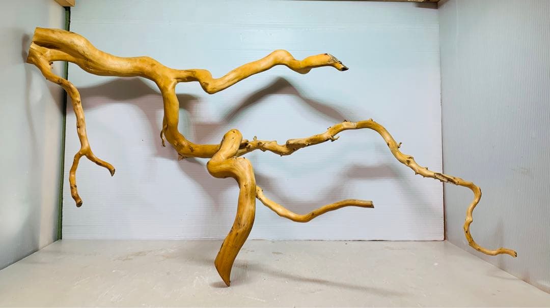 水槽用流木レイアウト　水槽。流木　。水生植物。流木 アクアリウム 盆栽流木