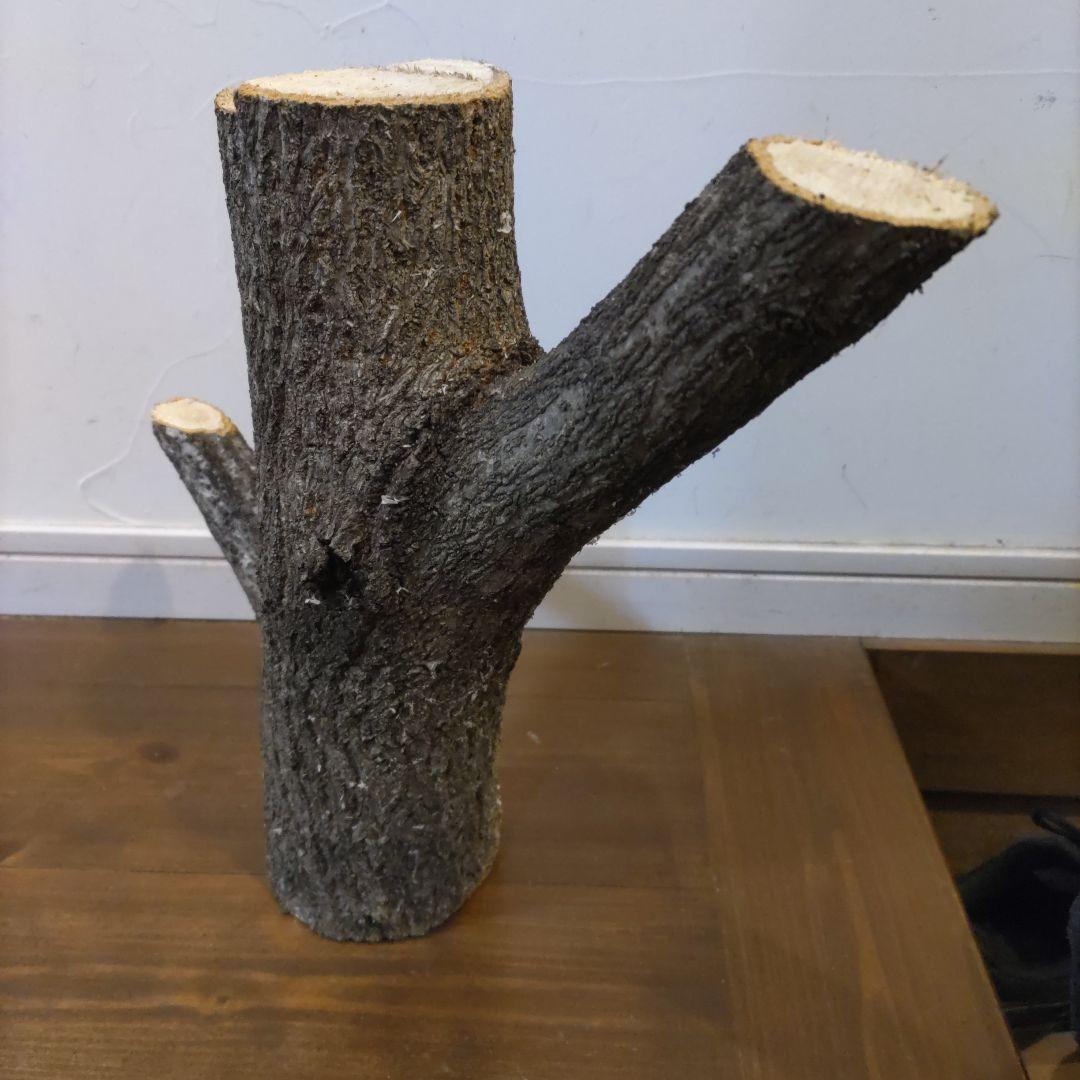 直径10cm　くぬぎ とまり木 自立　昆虫　トカゲ　爬虫類　無農薬無消毒