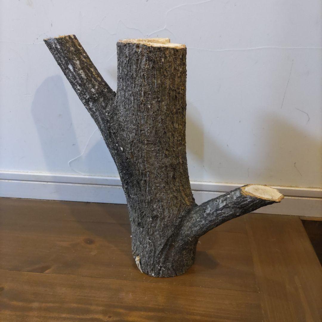 直径10cm　くぬぎ とまり木 自立　昆虫　トカゲ　爬虫類　無農薬無消毒