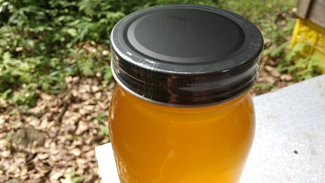 はちみつ 2kg 国産 天然 純粋 生蜂蜜 2025年6月新蜜 【養蜂家直送】