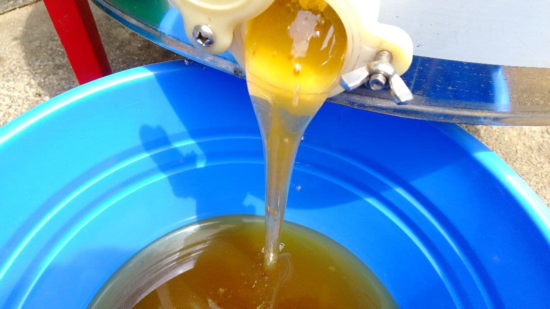 はちみつ 2kg 国産 天然 純粋 生蜂蜜 2025年6月新蜜 【養蜂家直送】