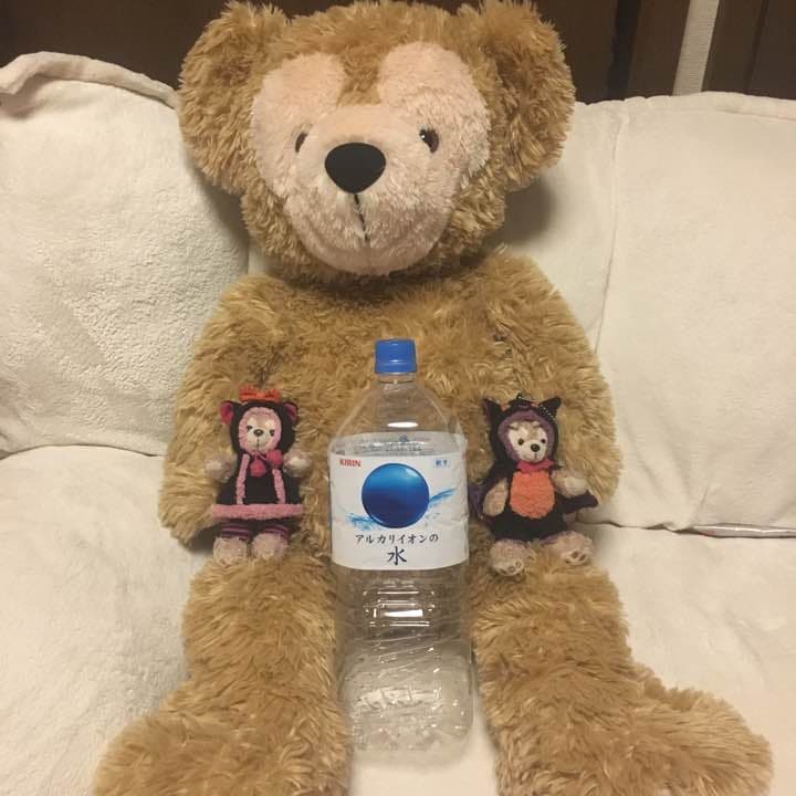 アメリカンダッフィー 特大