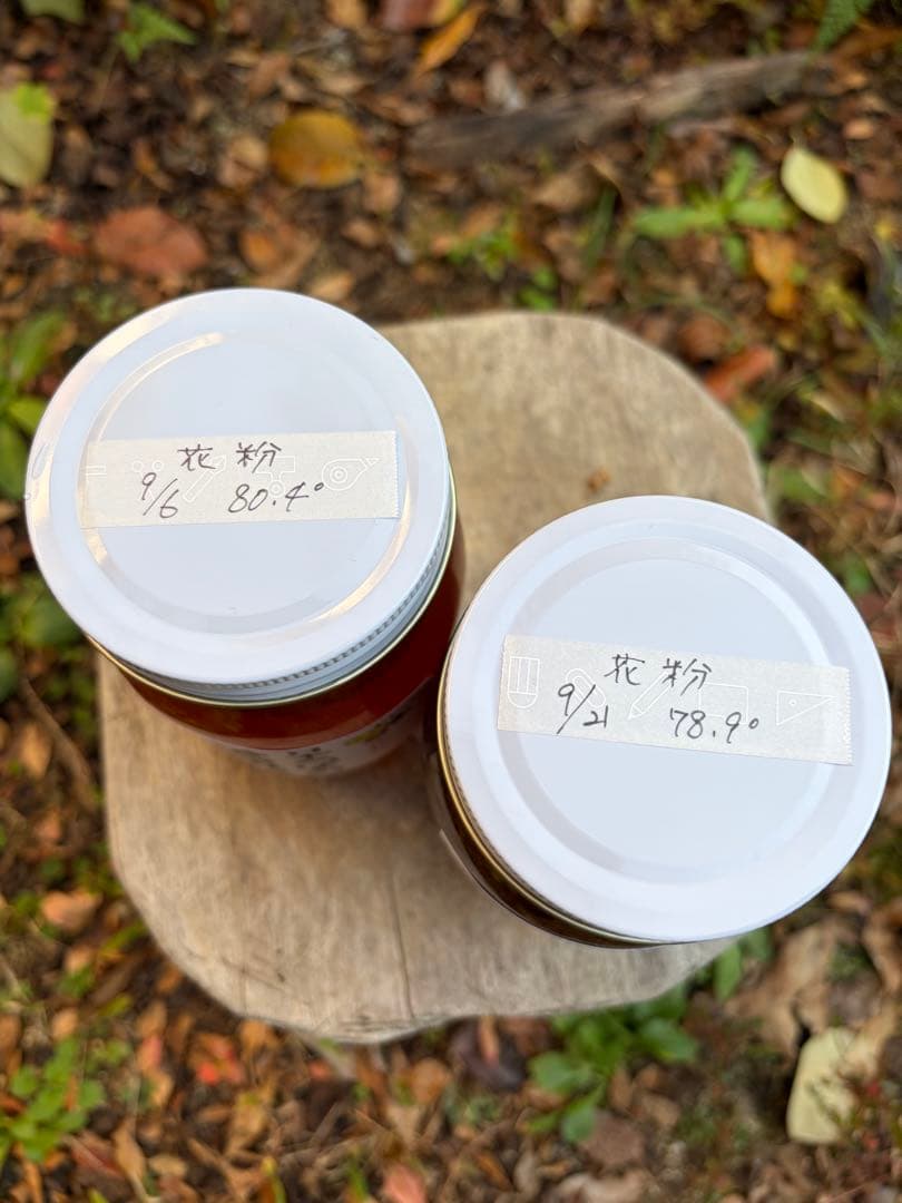 はちみつ　日本蜜蜂のハチミツ　奥山の蜂蜜　花粉入り　谷違い巣箱違いの２種