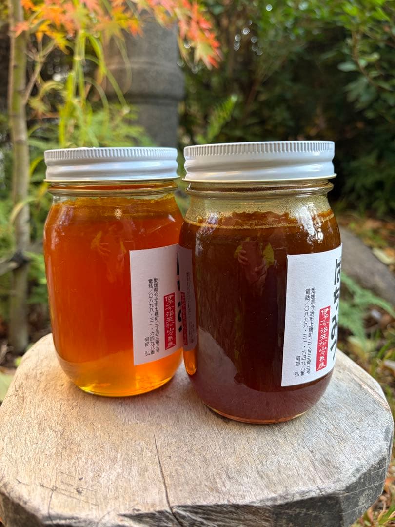 はちみつ　日本蜜蜂のハチミツ　奥山の蜂蜜　花粉入り　谷違い巣箱違いの２種