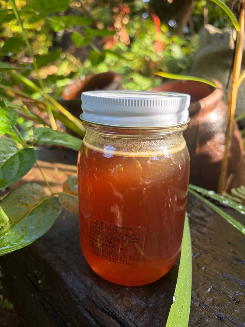 はちみつ　日本蜜蜂のハチミツ　奥山の奥の蜂蜜　国産蜂蜜愛媛産