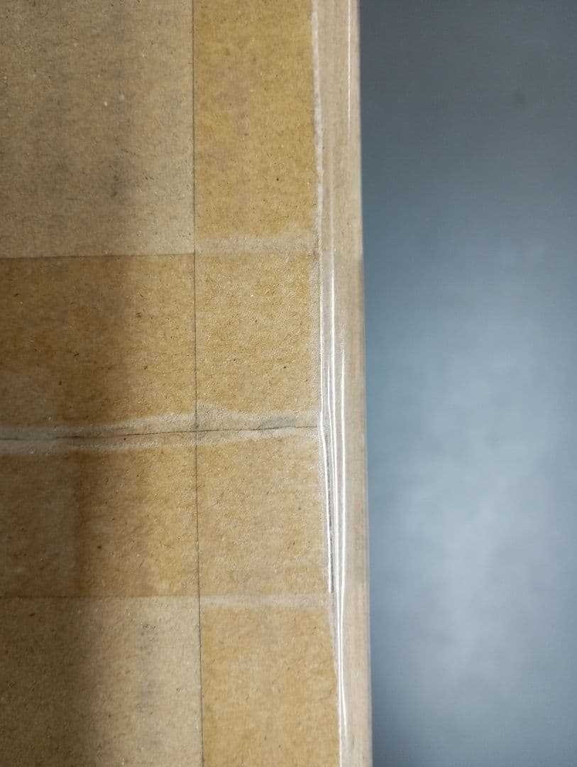 ソードアートオンライン　ガンゲイルオンライン　マスターカートン