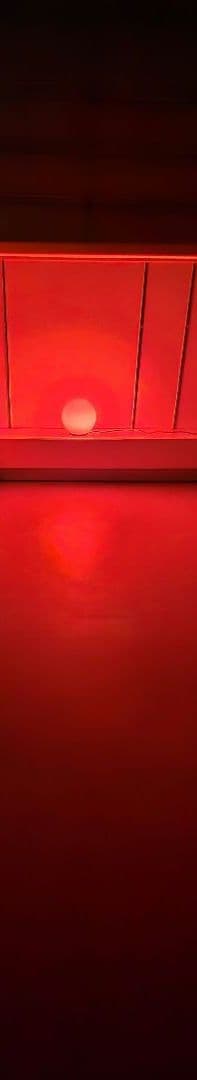 その他 Grey type Alien figure modeled object