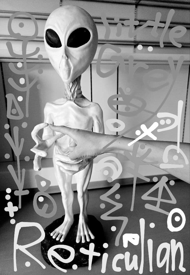 その他 Grey type Alien figure modeled object
