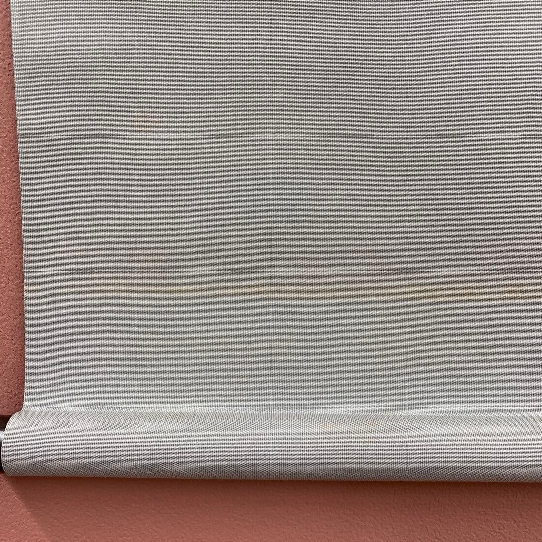 美品 掛け軸 鳥山玲作「飛翔鶴」共箱 太巻き付 縁起物 美術年鑑掲載