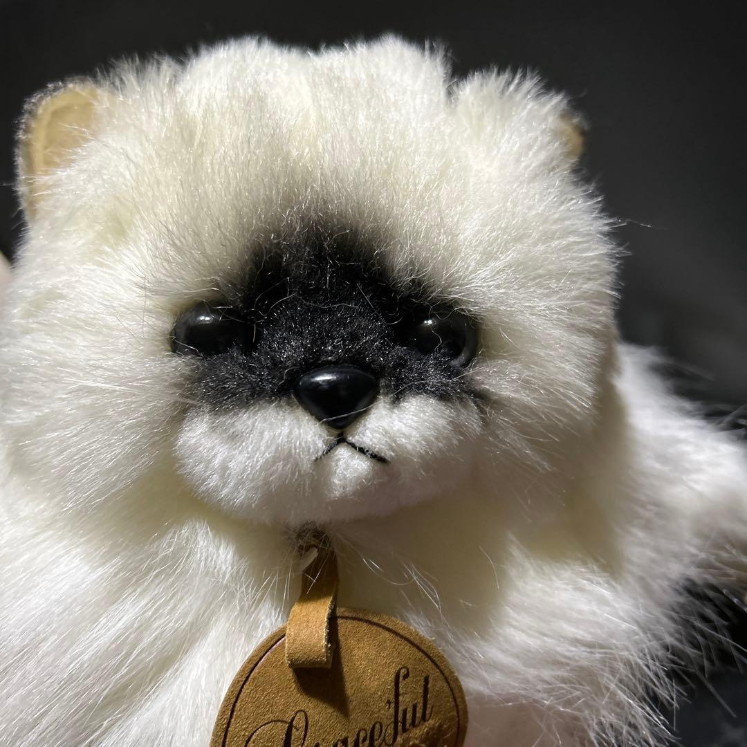 doorzo様❗️猫　ヒマラヤン　三英❣️