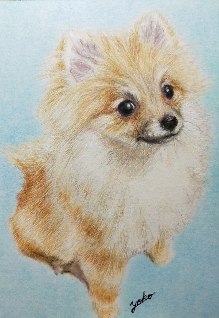 専用　色鉛筆画　絵画　原画　イラスト　ペット　似顔絵　オーダーページです