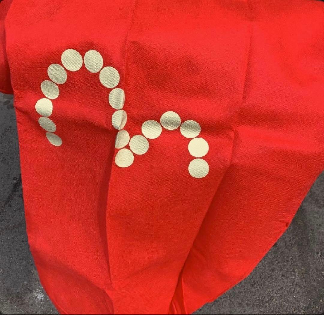 【売り切り】EVISU／エヴィスゴルフキャディーバック