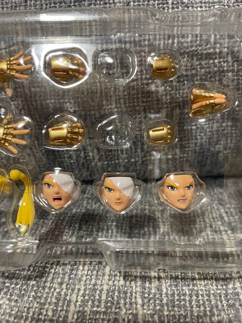 聖闘士聖衣神話EX アクエリアス・氷河