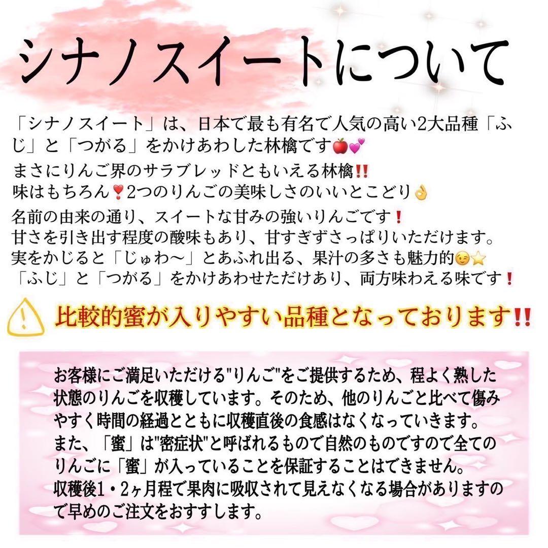 青森県産 ＂ 北斗 ＂りんご 加工用 22kg 産地直送 リンゴ 林檎