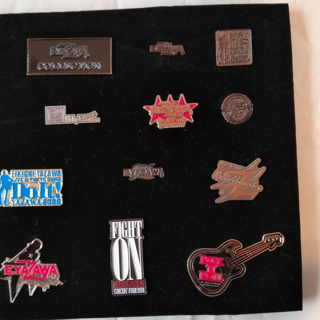 ひろ　矢沢永吉さん　ピンバッチ１８個　ケ−ス入り 未使用に近い　最終値下げ