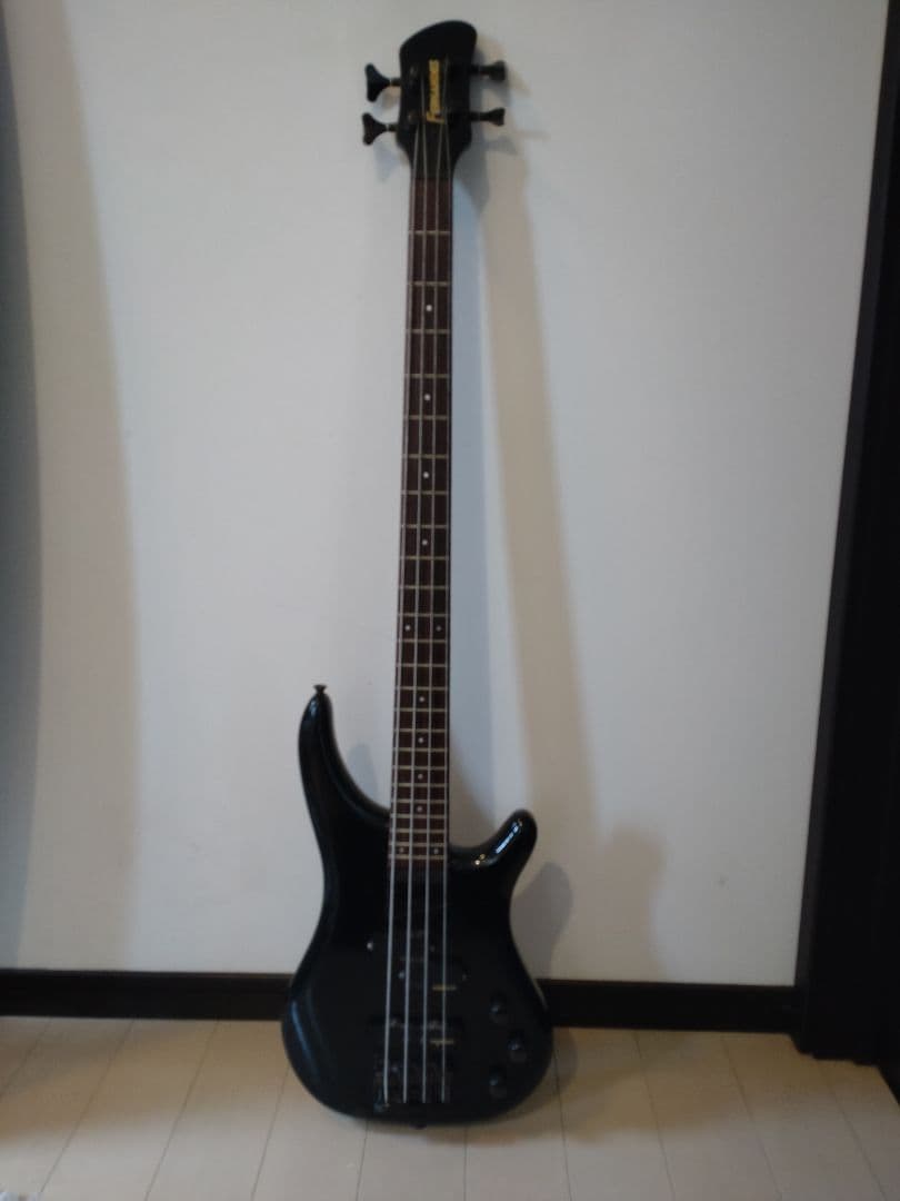 FERNANDES ハードケースとソフトケース付き