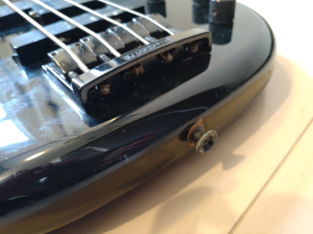 FERNANDES ハードケースとソフトケース付き