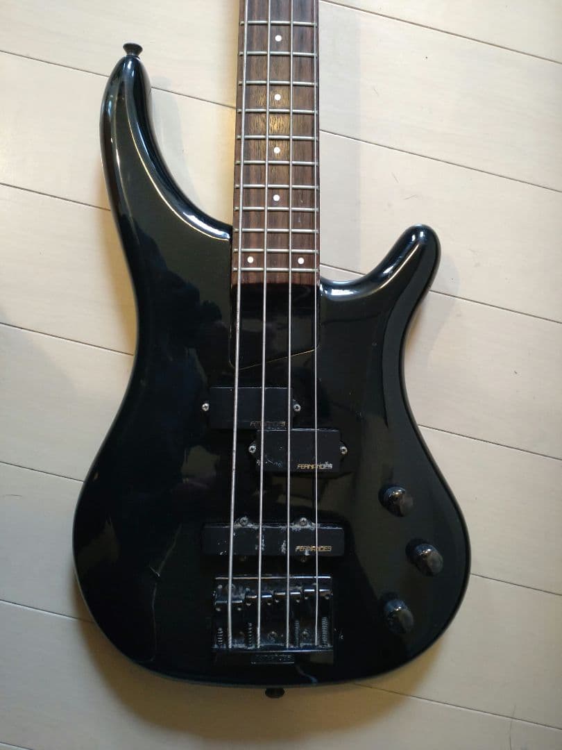 FERNANDES ハードケースとソフトケース付き