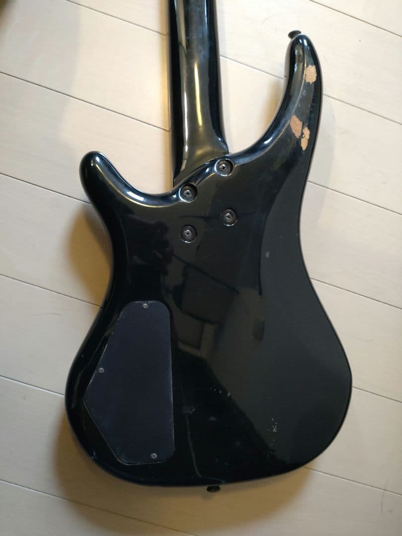 FERNANDES ハードケースとソフトケース付き