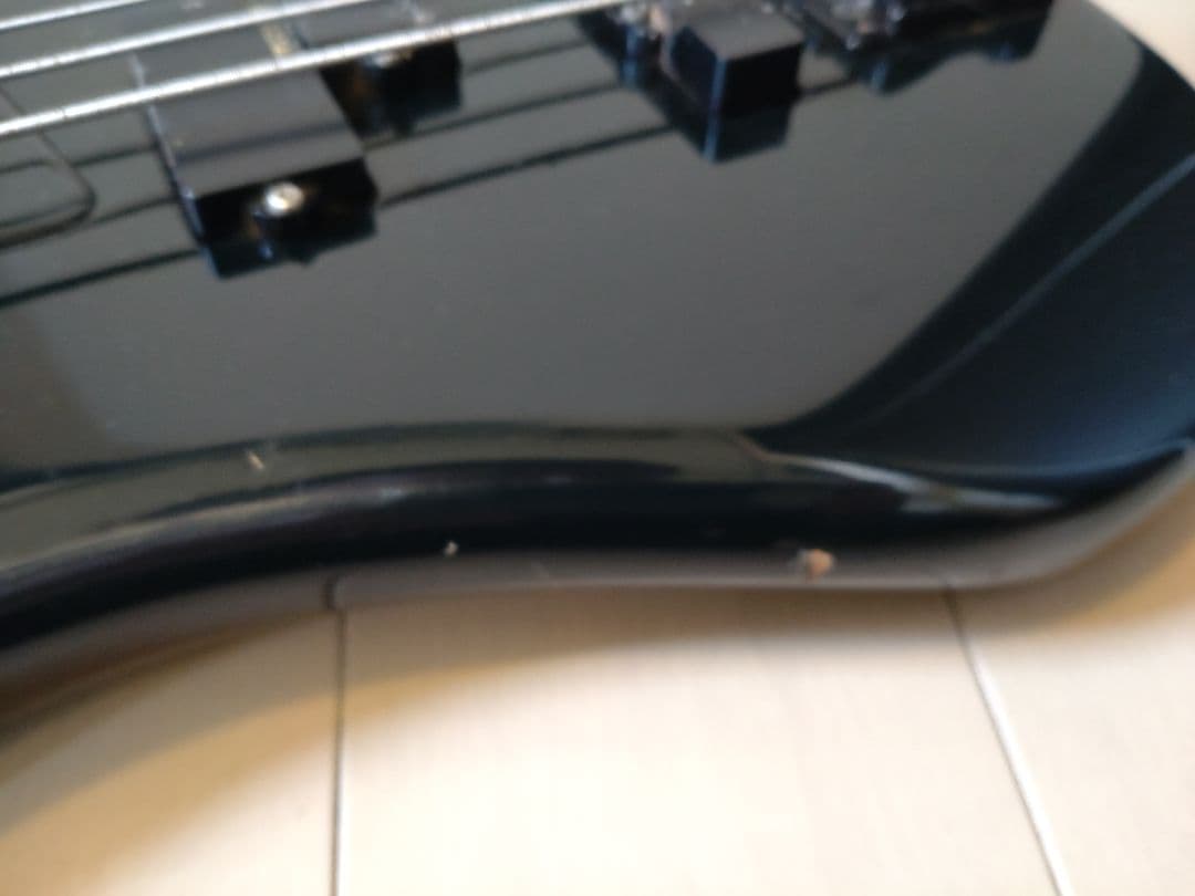 FERNANDES ハードケースとソフトケース付き