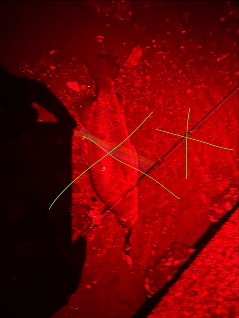 23 カルカッタコンクエスト MD 401 XGLH (左)