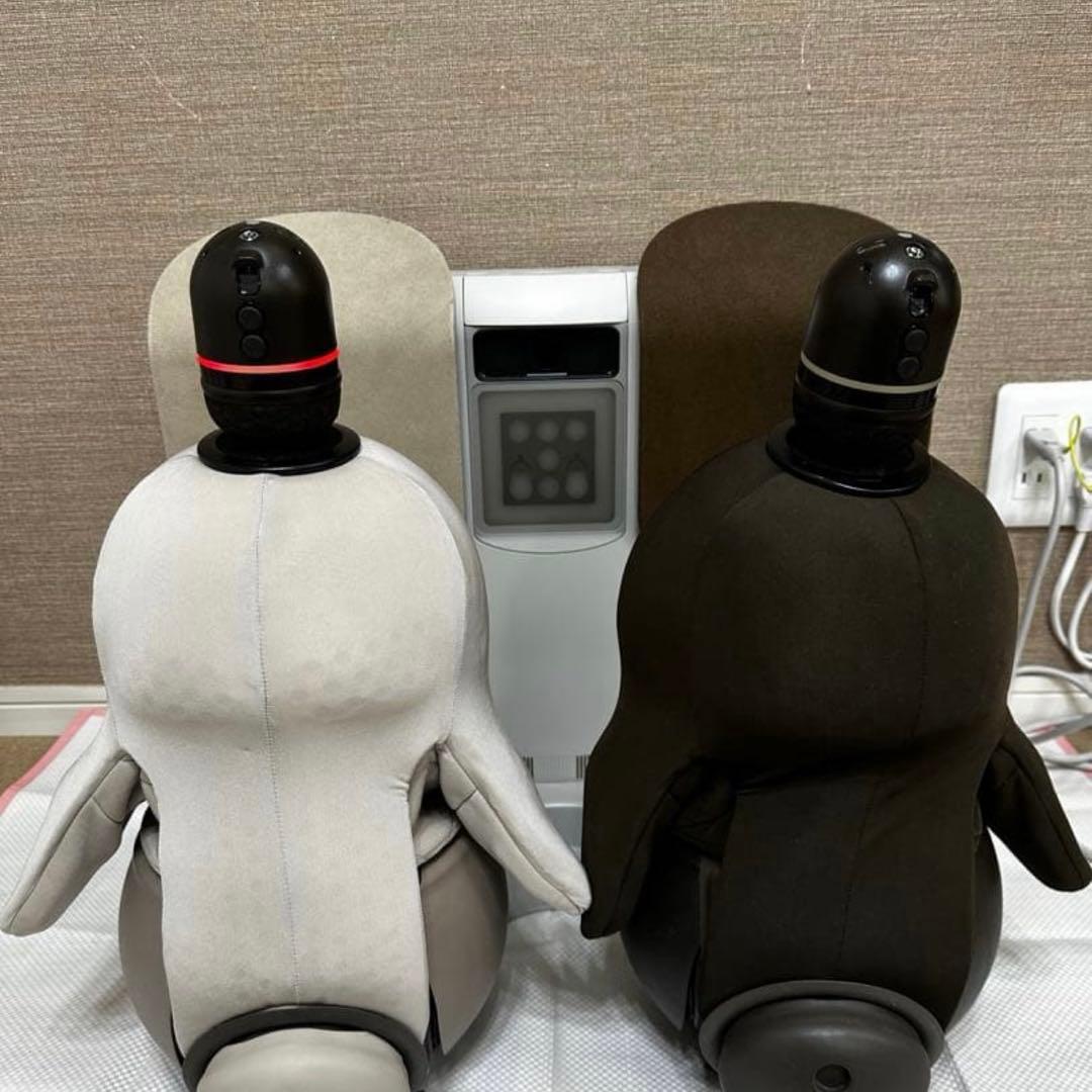 限界価格 LOVOTDuo ラボット 双子 ねこみみニット2着and洋服