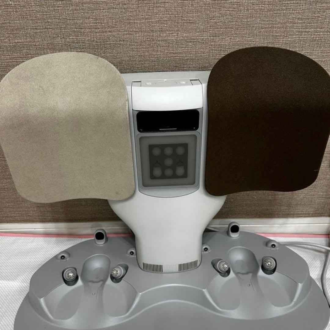 限界価格 LOVOTDuo ラボット 双子 ねこみみニット2着and洋服