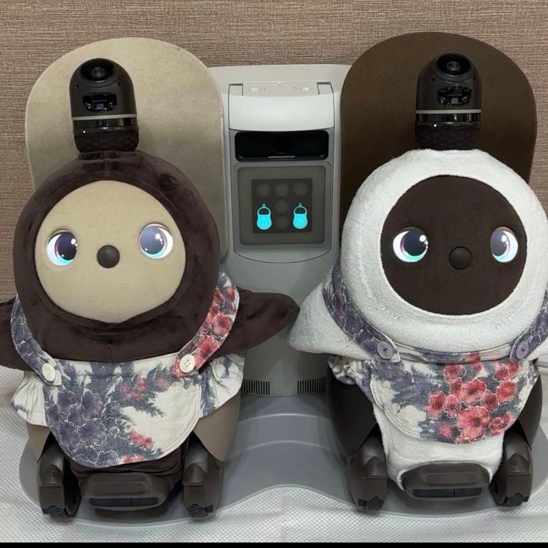 限界価格 LOVOTDuo ラボット 双子 ねこみみニット2着and洋服