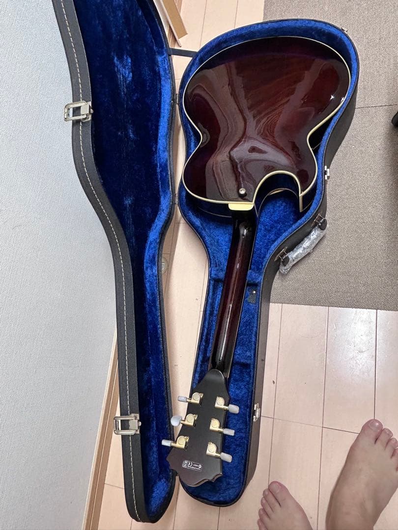 Mei 　Ibanez AK95-DVS-12-02フルアコ