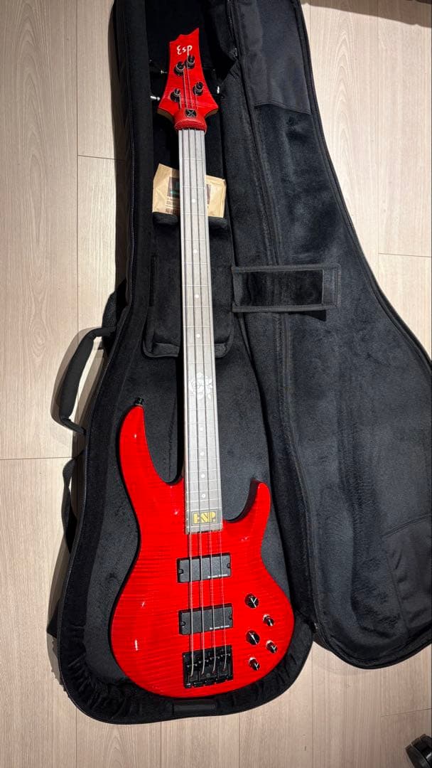 ESP BTL LISAカスタマイズ
