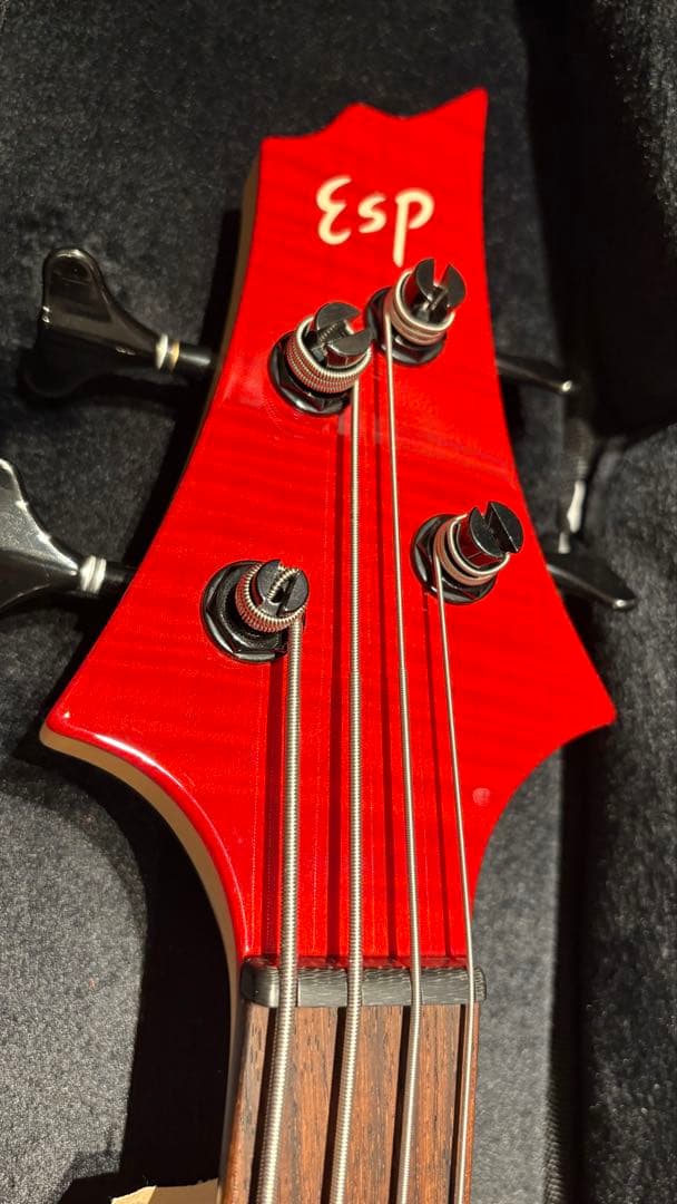 ESP BTL LISAカスタマイズ