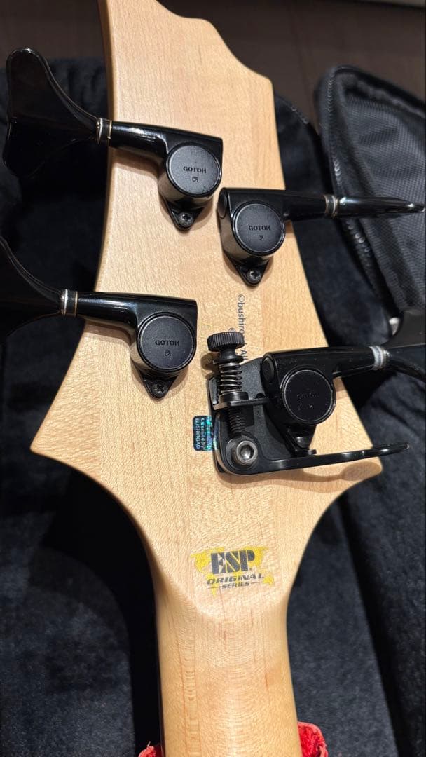 ESP BTL LISAカスタマイズ