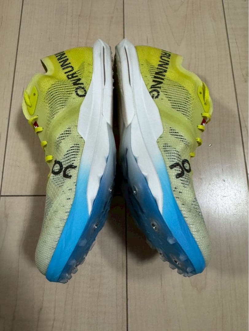 25㌢On Cloudspike citius2